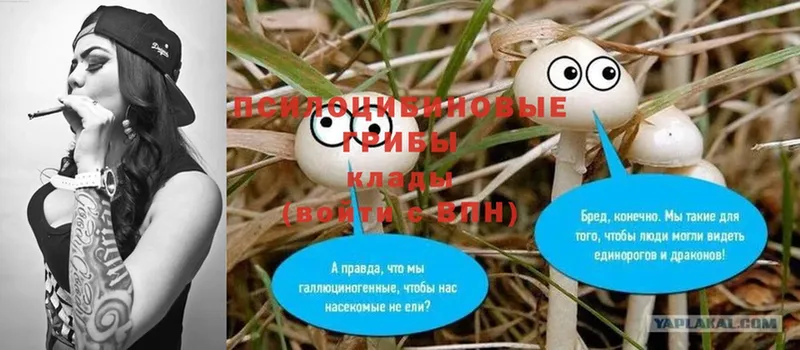 Псилоцибиновые грибы MAGIC MUSHROOMS  Сарапул 